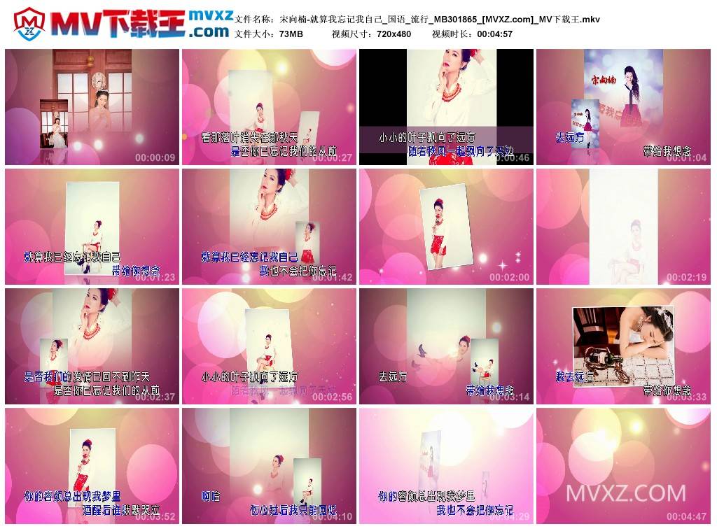 宋向楠-就算我忘记我自己_国语_流行_MB301865